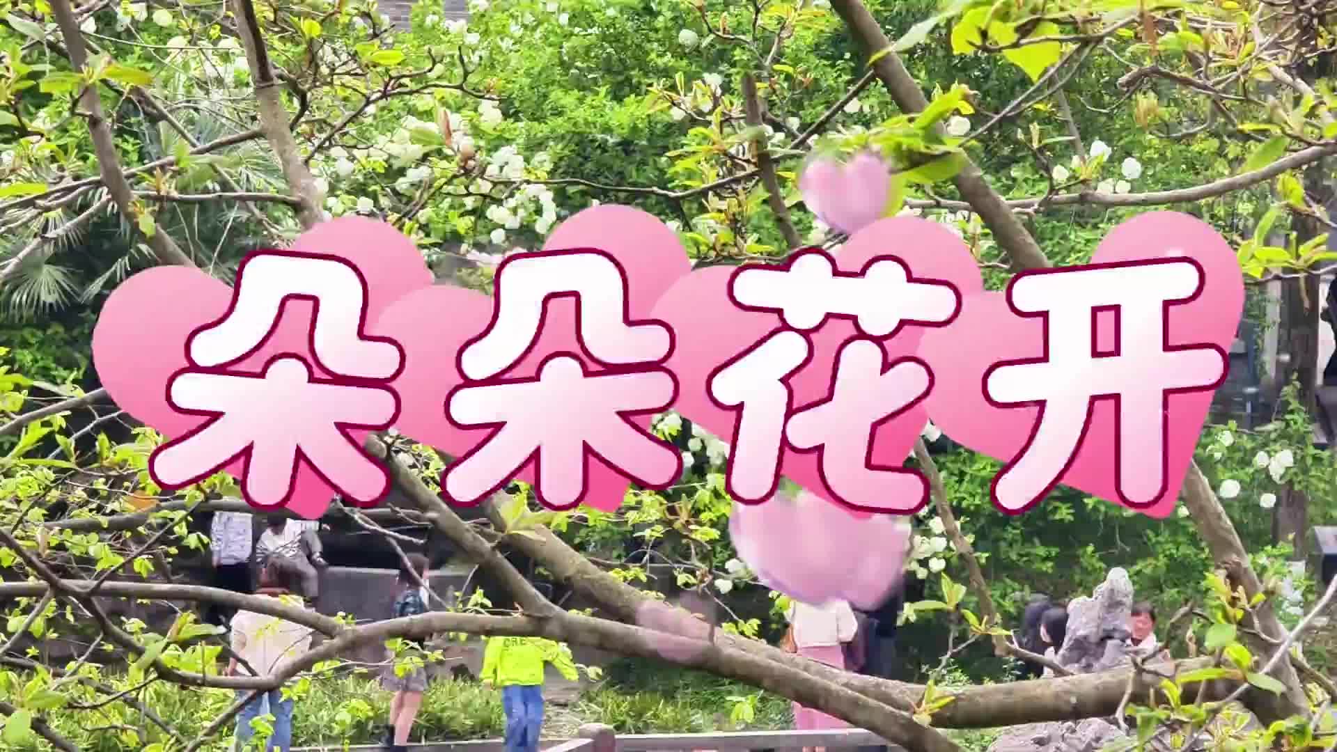 福地懷化·浪漫季｜大美懷化：朵朵花開