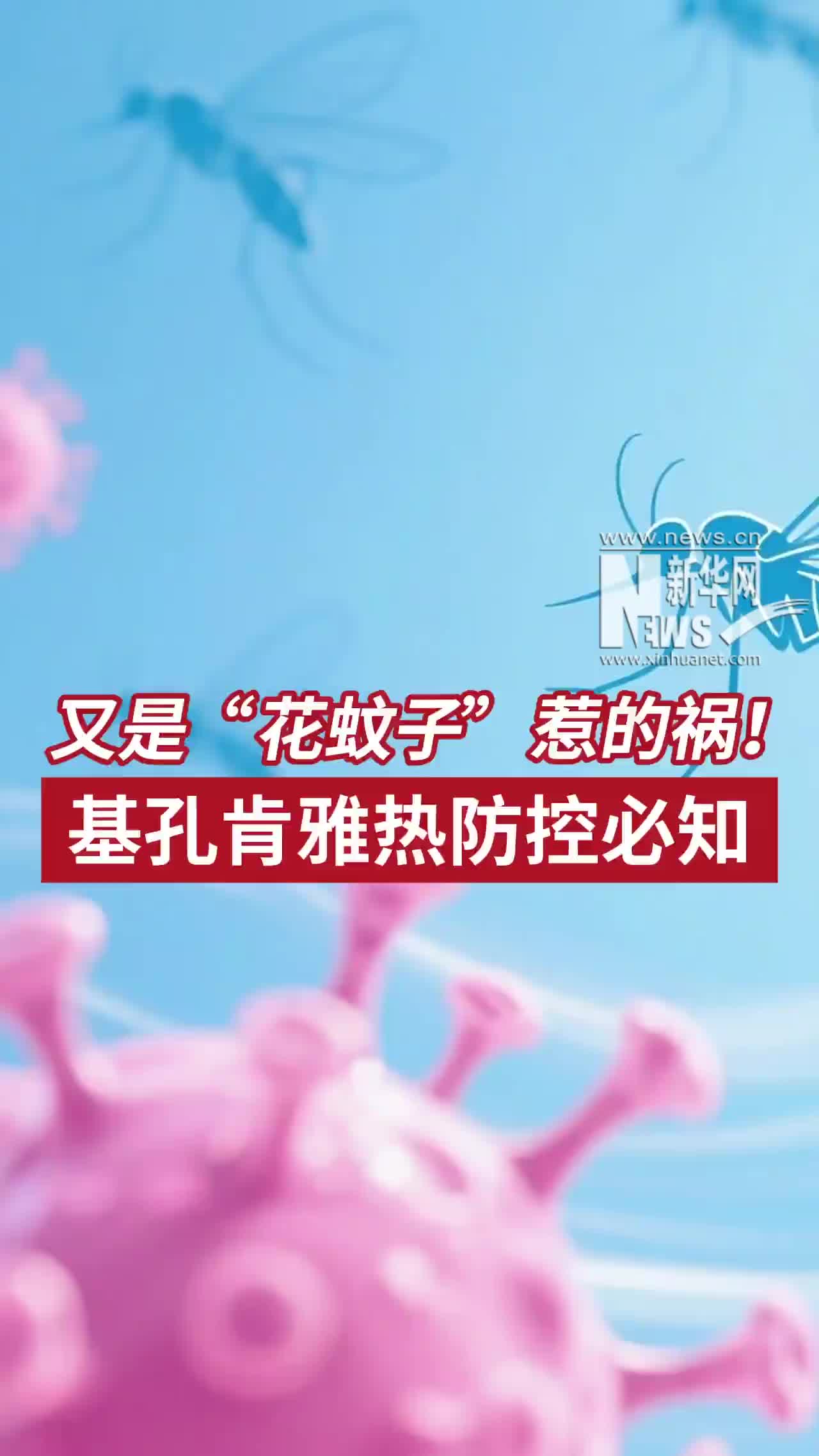 又是“花蚊子”惹的祸！基孔肯雅热防控必知