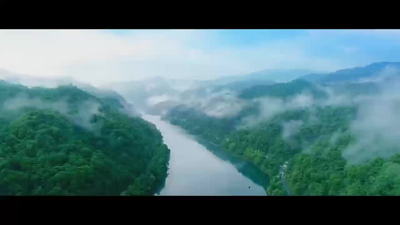 候鸟保护公益宣传短片