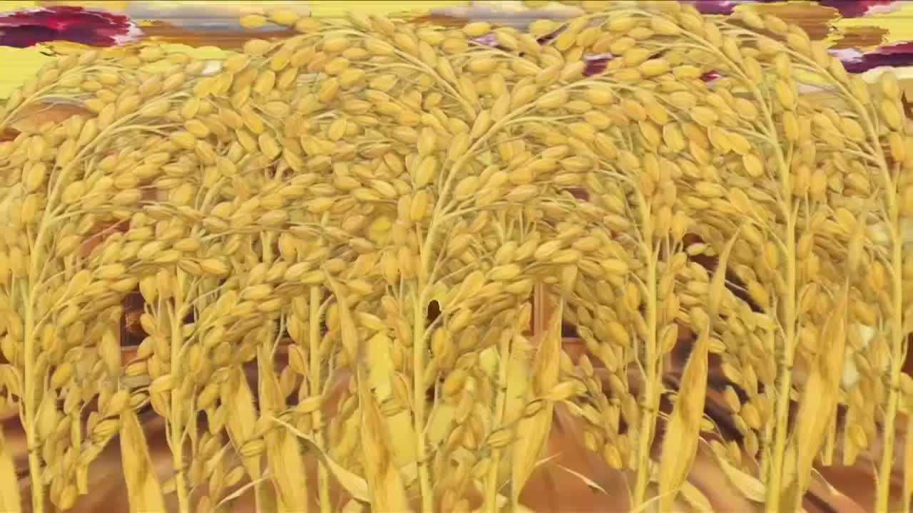 【CCTV-4】纪录片《一粒种子改变世界》第一集 问稻安江