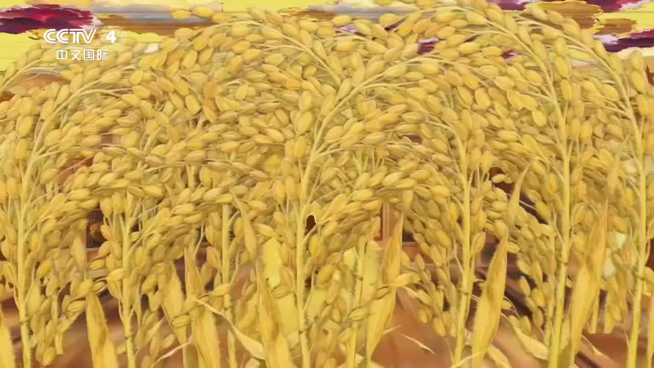 【CCTV-4】纪录片《一粒种子改变世界》第三集 稻路求索