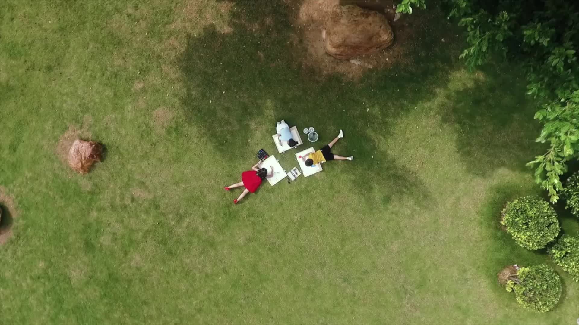 《宪法保护我们的未来》