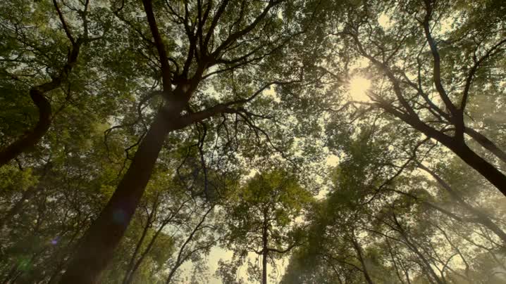 全国新时代廉洁文化微短剧正在展播！今日优秀作品《苹果》来自湖南