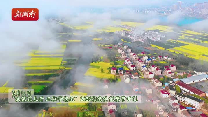 湖南油菜花节11日怀化会同启幕，联动四地共赴花海之约