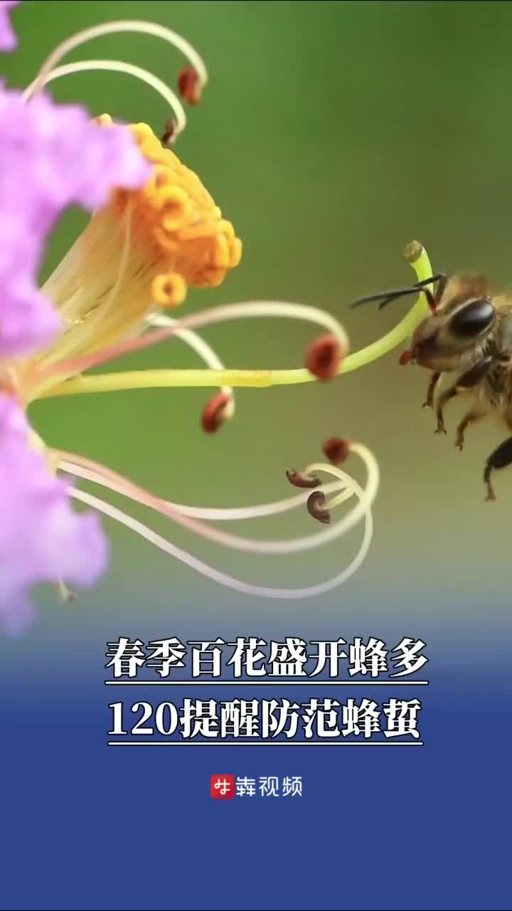 春季百花盛开蜂虫多，120提醒防范蜂蜇