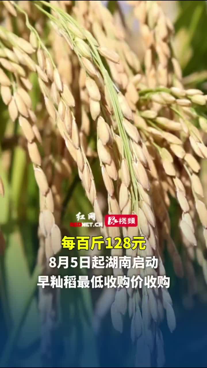 每百斤128元 8月5日起湖南启动早籼稻最低收购价收购