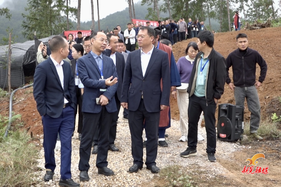 第二届中国黄精产业发展大会暨第七届武陵山（怀化）国际健康产业博览会嘉宾考察我县黄精产业发展情况