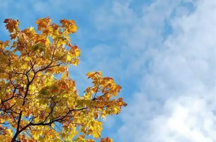 湖南未來(lái)三天冷晴少雨，天干物燥需注意森林防火