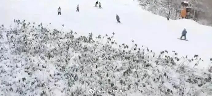 3到5分鐘就會窒息！去滑雪這些問題要注意