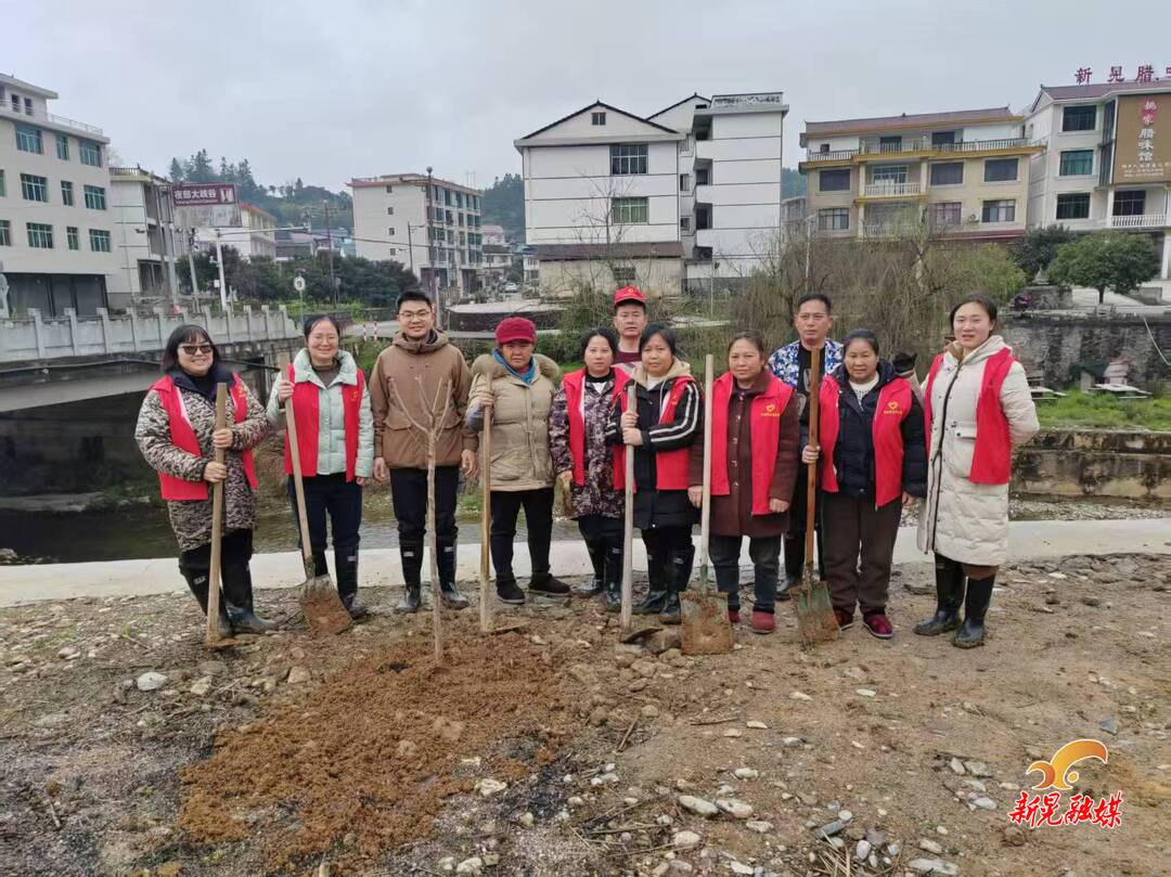 晃州镇大洞坪村：驻村植树添新绿 乡村振兴增活力