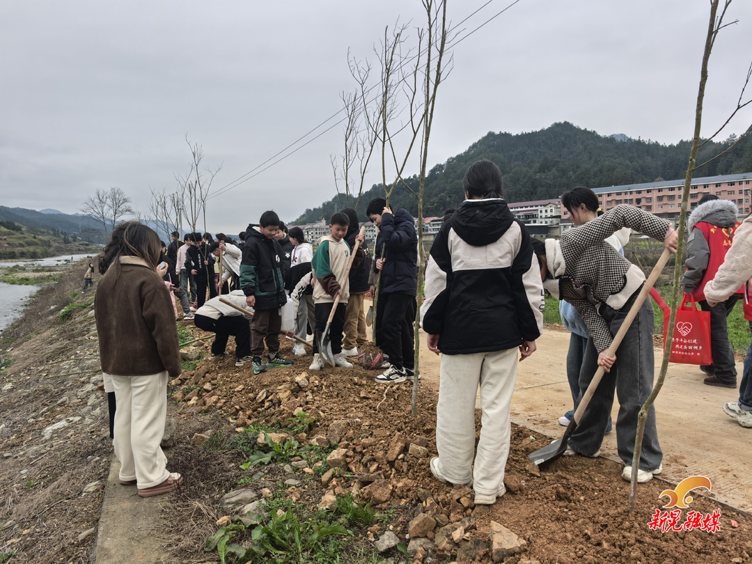 扶罗镇：春回大地万物苏 植树添绿正当时