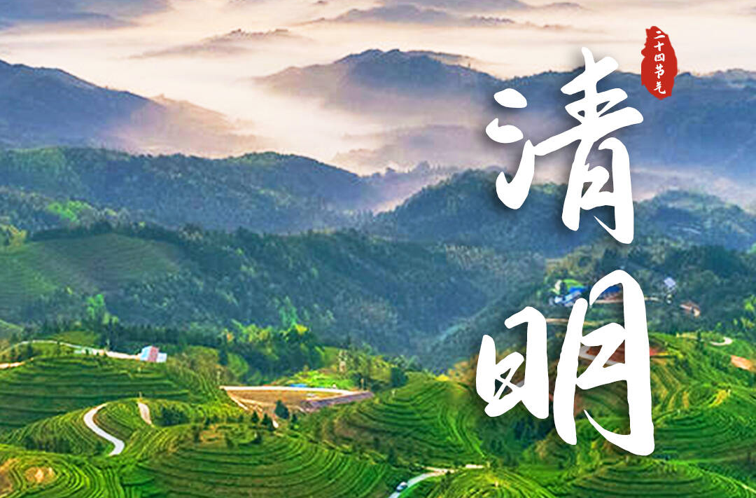 二十四节气·怀景怀乡怀味丨燕子来时新社 梨花落后清明