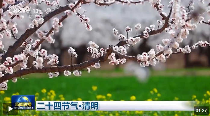 文化中国行丨二十四节气·清明 梨花风起正清明