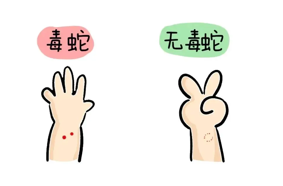 清明·提醒丨被咬一口，肿到发黑！发现请立即远离