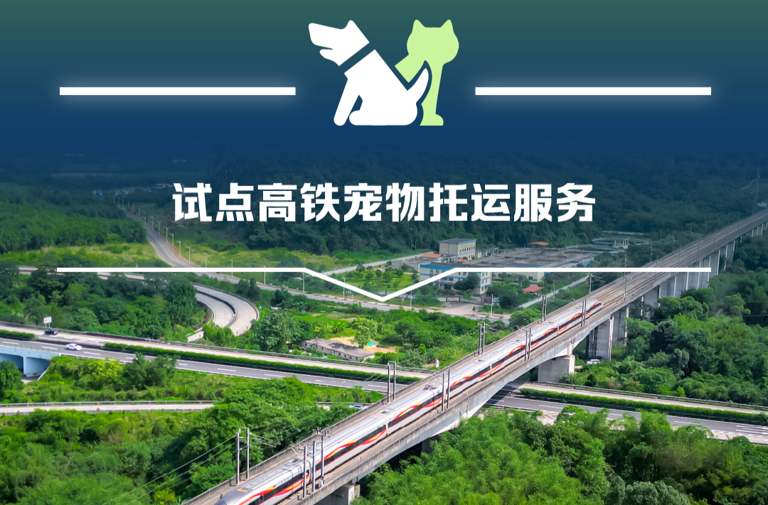 4月8日起铁路部门试点高铁宠物托运服务 铁路12306同步推出“宠物托运”功能