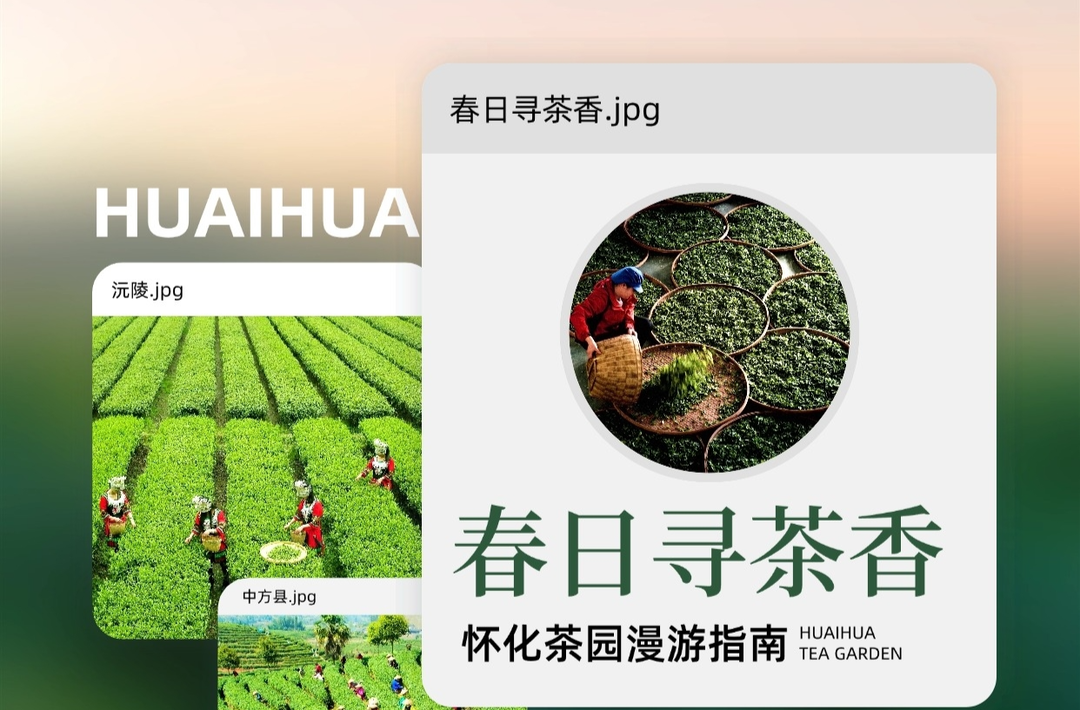 福地怀化·浪漫季｜大美怀化：春日寻茶香，怀化茶园漫游指南→