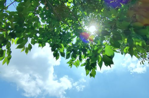 这次是真的，南方开启大规模入夏！