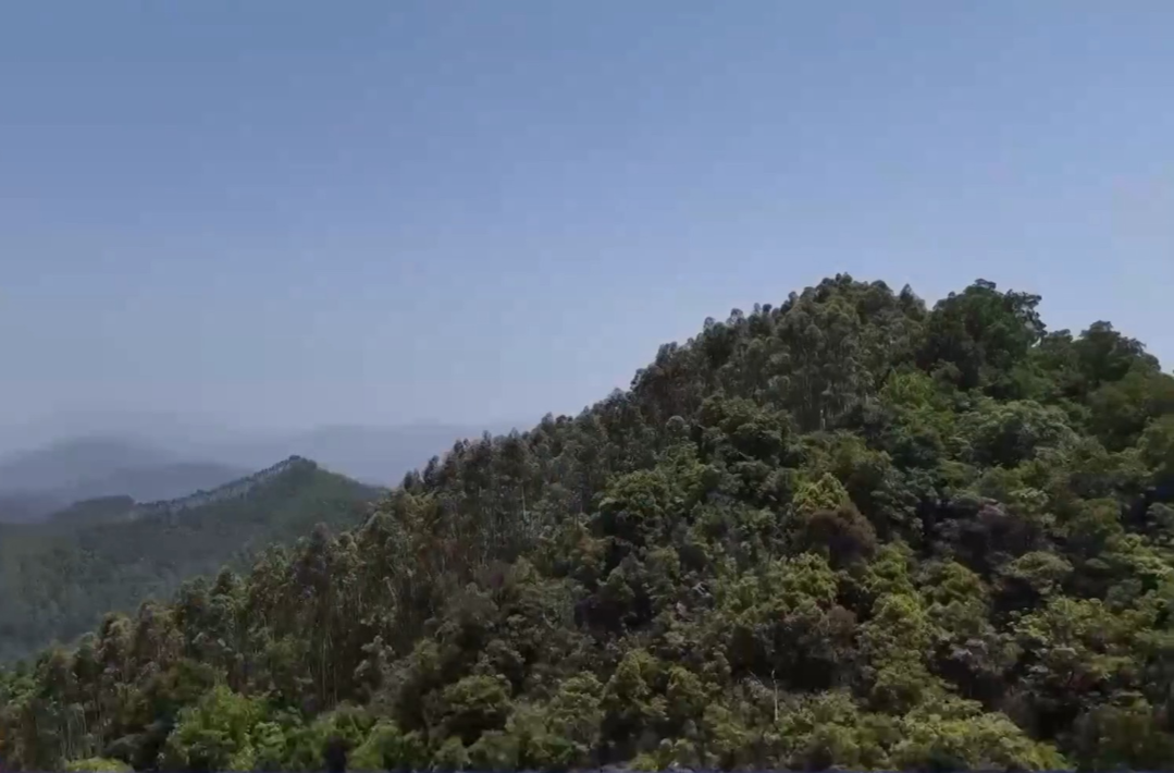 4月以来登山遇险频发，这些地方不要去