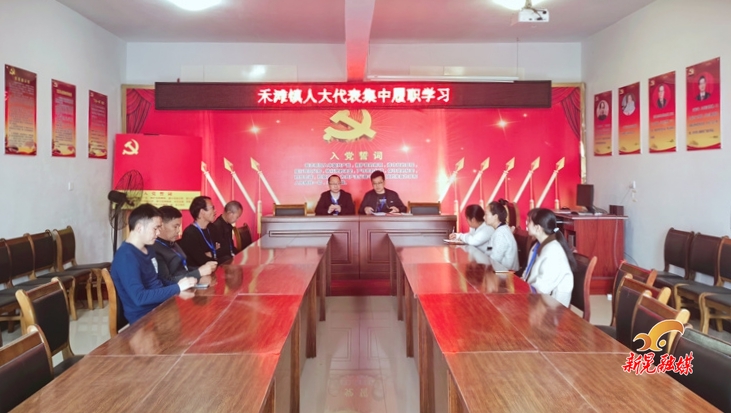 禾滩镇人大：进村入寨推动农村环境治理