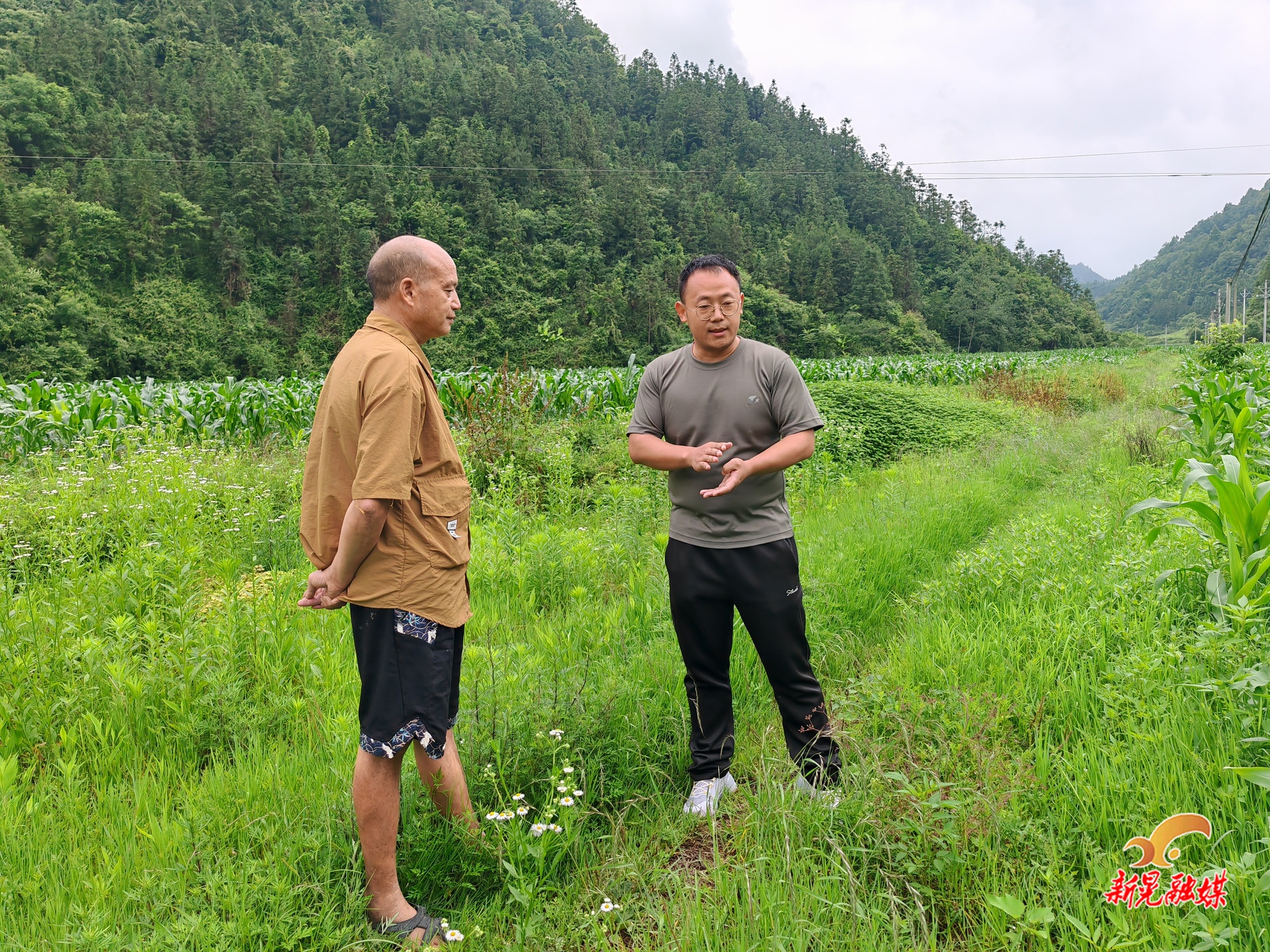 贡溪镇碧林村：扎实开展严格管控区退出水稻种植工作