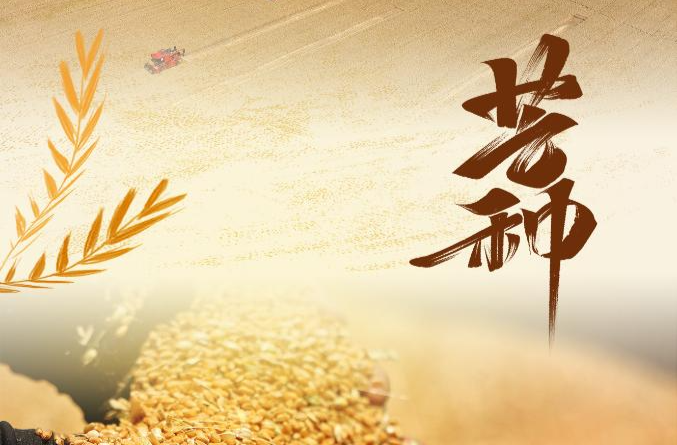 节令之美｜5日17时57分芒种：孟夏将尽 仲夏登场