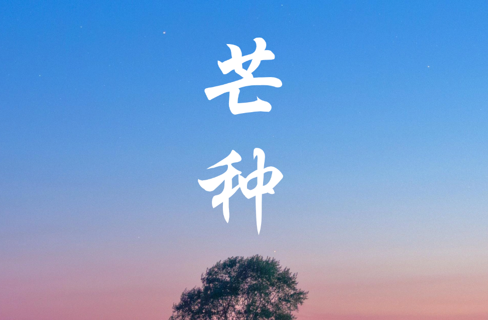 芒种！祝你收获满满