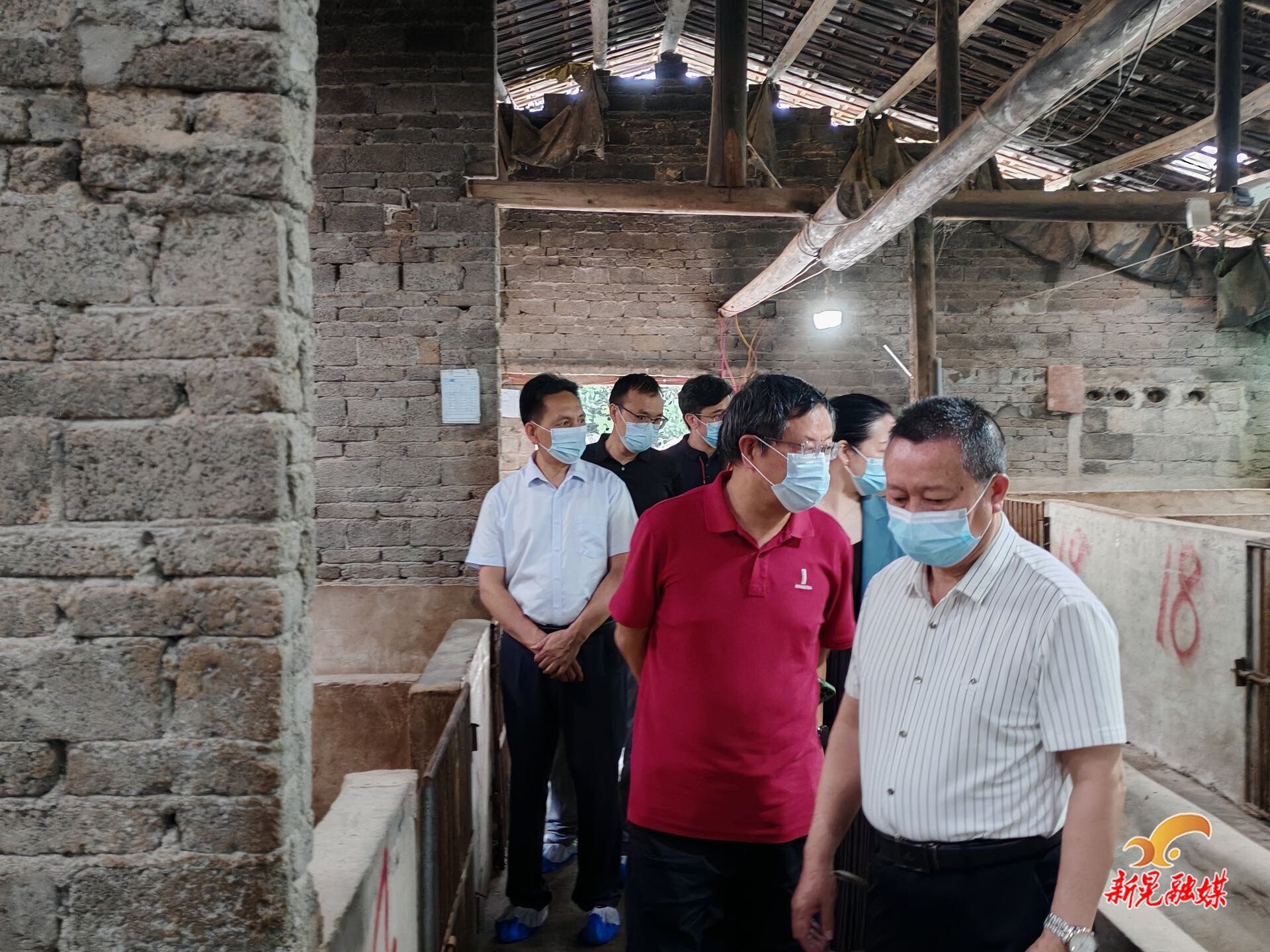 印遇龙院士一行来晃实地调研农业科技工作
