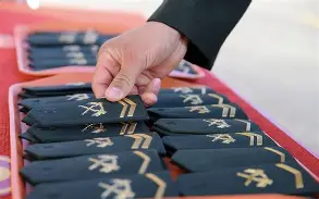 2004人！2025年定向培养军士在湘招收计划发布