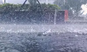 暴雨天气易发洪涝灾害，如何防灾避险？