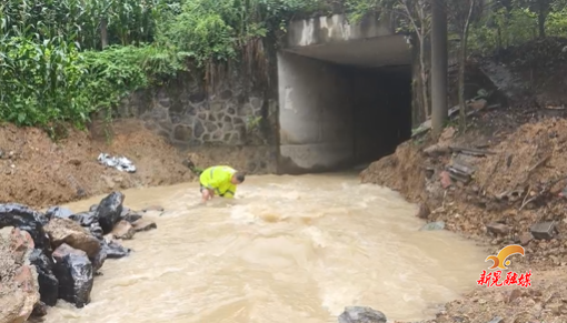 风雨中的守护者：村支书徒手排险护电网