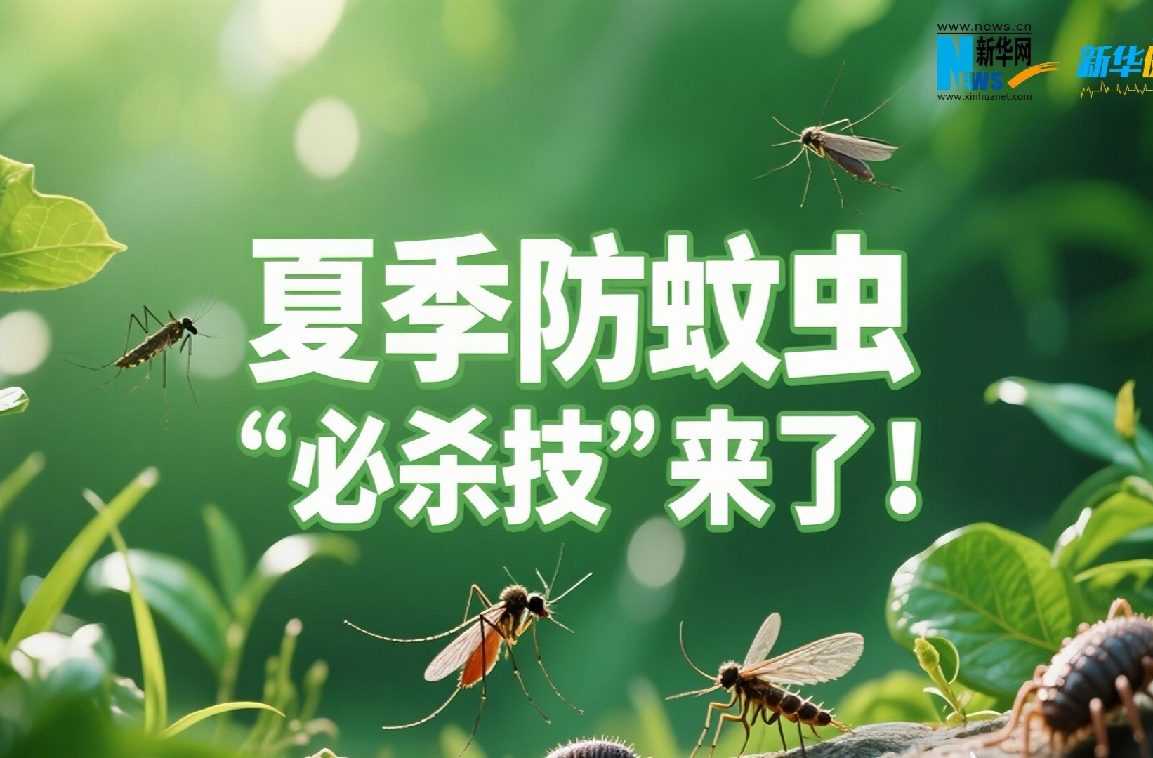 新華健康丨夏季防蚊蟲“必殺技”來了！