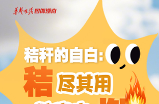 【AI圖解】我是一根小秸稈，我不愛“玩火”