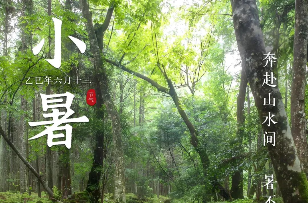 今日小暑丨這些解暑“涼”方快來get