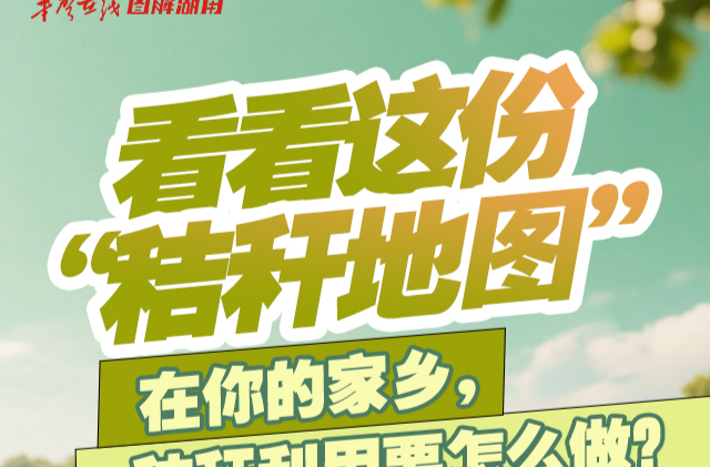 【AI圖解】從這份地圖，看湖南秸稈利用怎么做