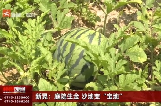 新晃：庭院生金 沙地变“宝地”