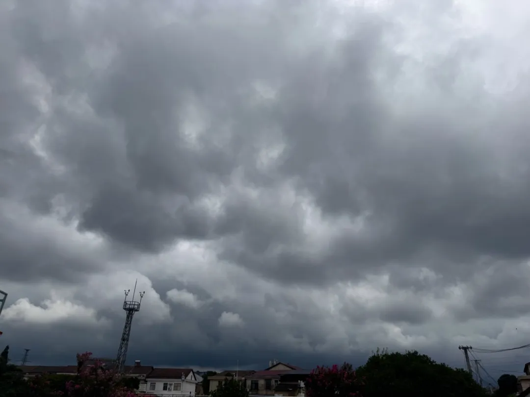 台风“竹节草”带来风雨影响 今晚到明天白天省内多阵雨局地有暴雨