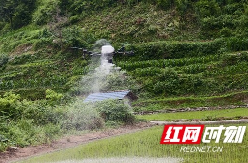 新晃中寨镇机械化耕种助力农业现代化，促进乡村和谐发展