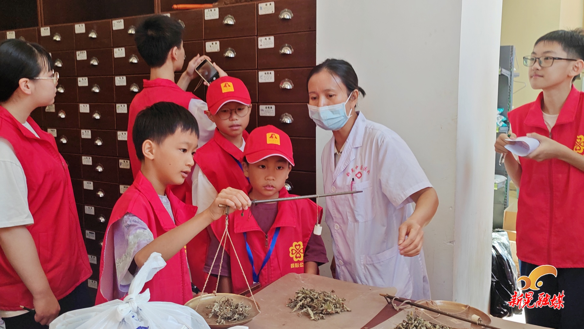 雷鋒青少年沉浸式體驗中醫(yī)藥文化