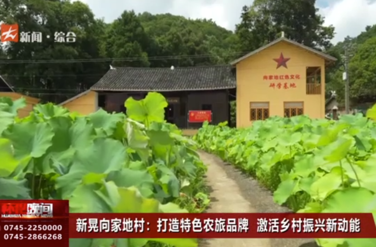 新晃向家地村：打造特色農(nóng)旅品牌 激活鄉(xiāng)村振興新動能