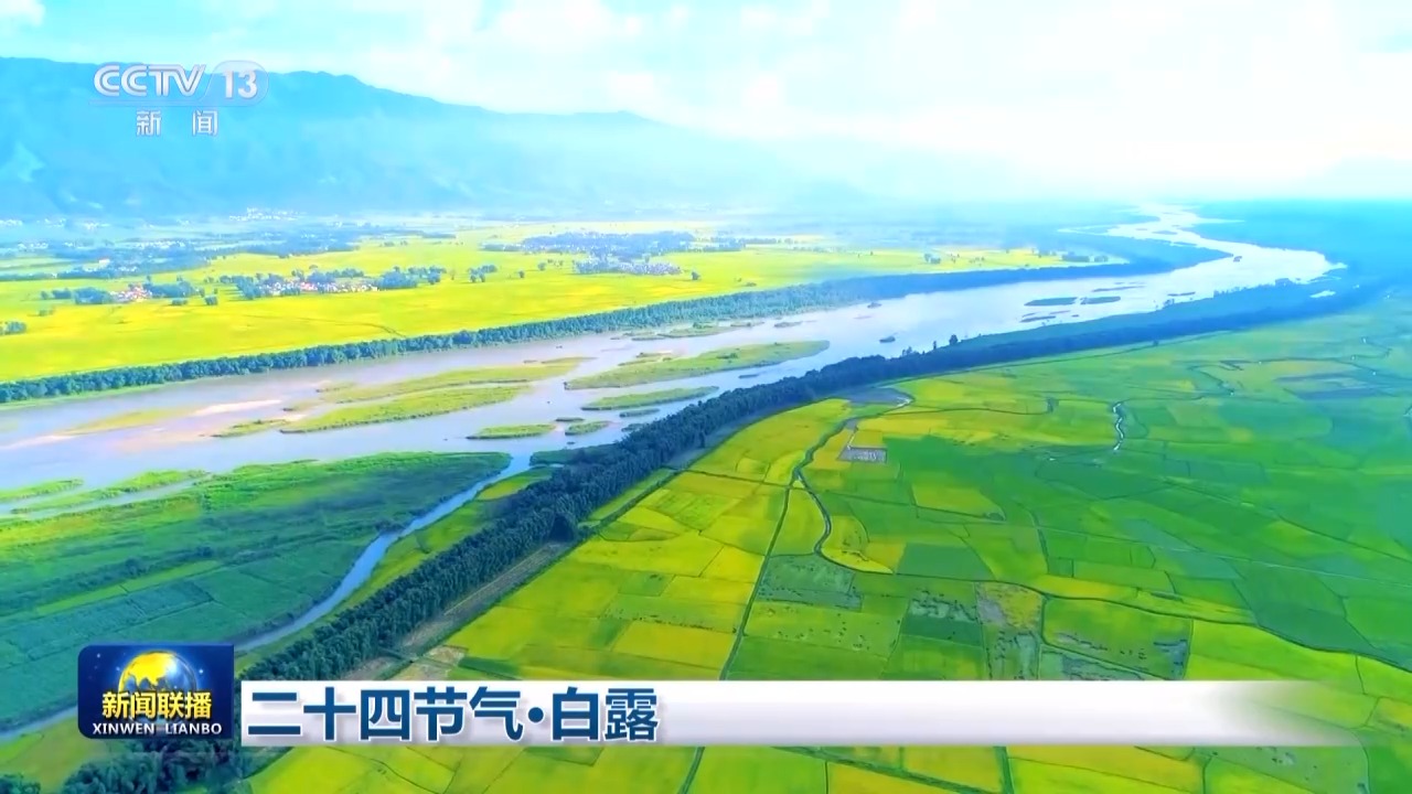 文化中國行丨二十四節(jié)氣·白露 露從今夜白 月是故鄉(xiāng)明