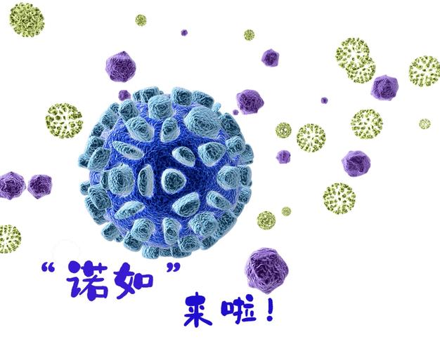 諾如病毒進(jìn)入流行期，湖南防控如何？最新情況來(lái)了