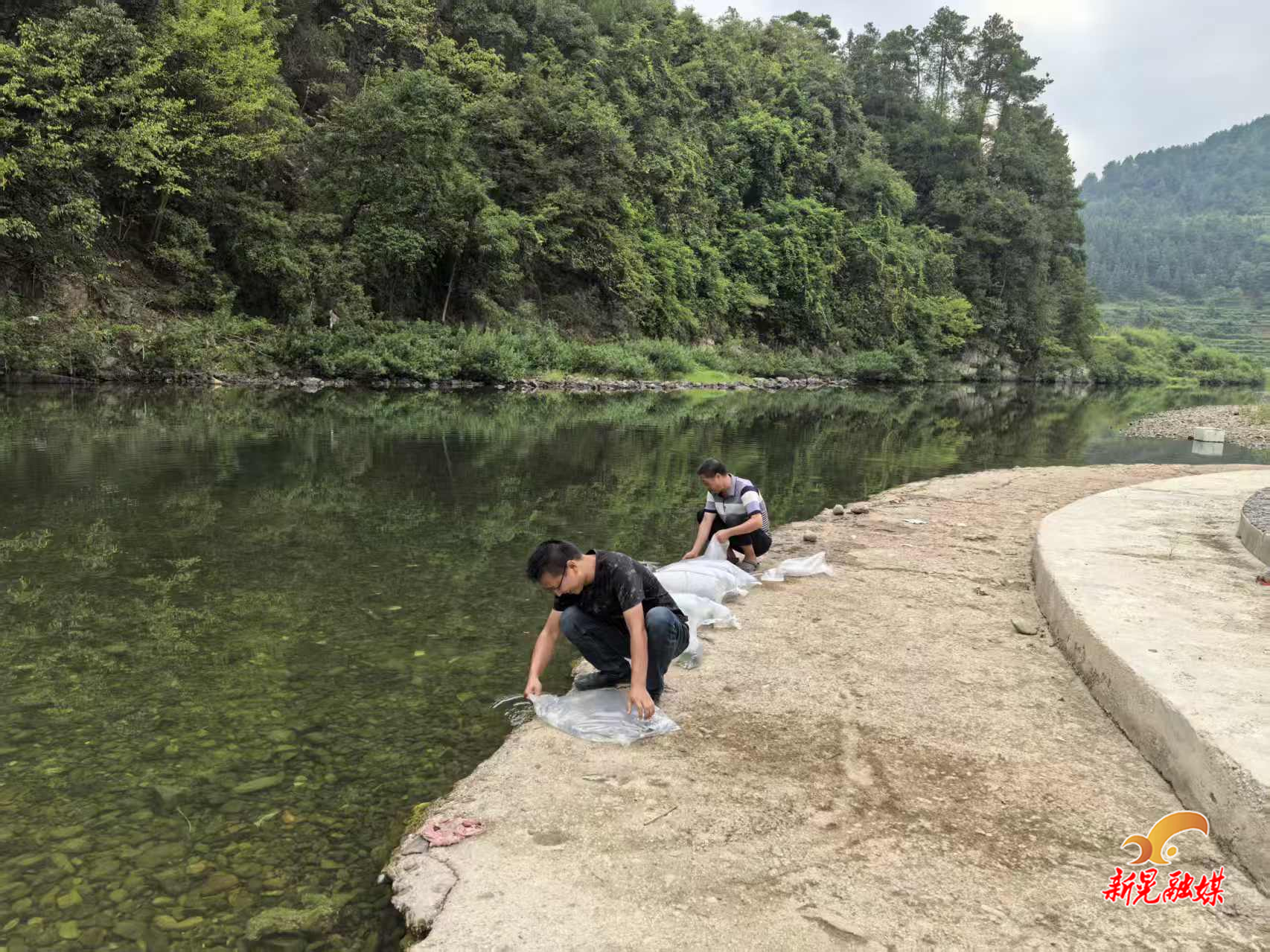禾滩镇开展2025年度增殖放流行动   助力水域生态保护