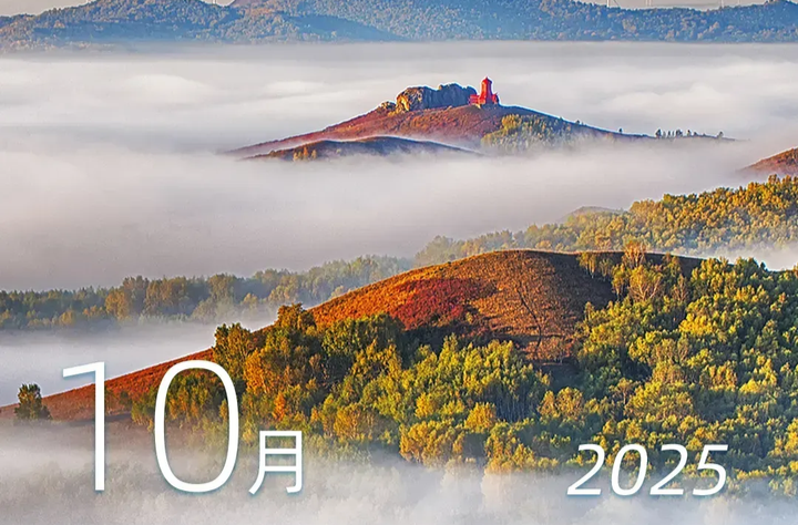 转发周知！本周上班时间有变！