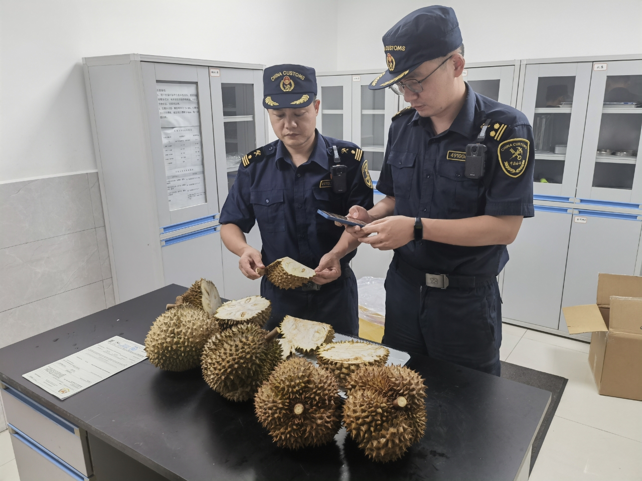 湖南的吃货们注意！首批柬埔寨榴莲来了