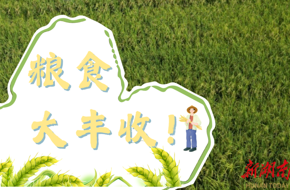 丰收啦！数说好“丰”景