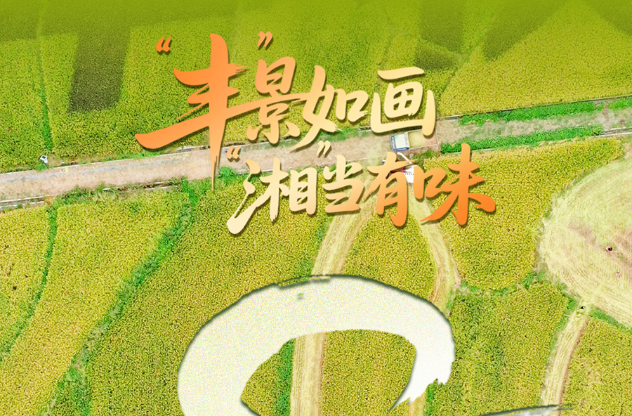 海报 | “丰”景如画 “湘”当有味