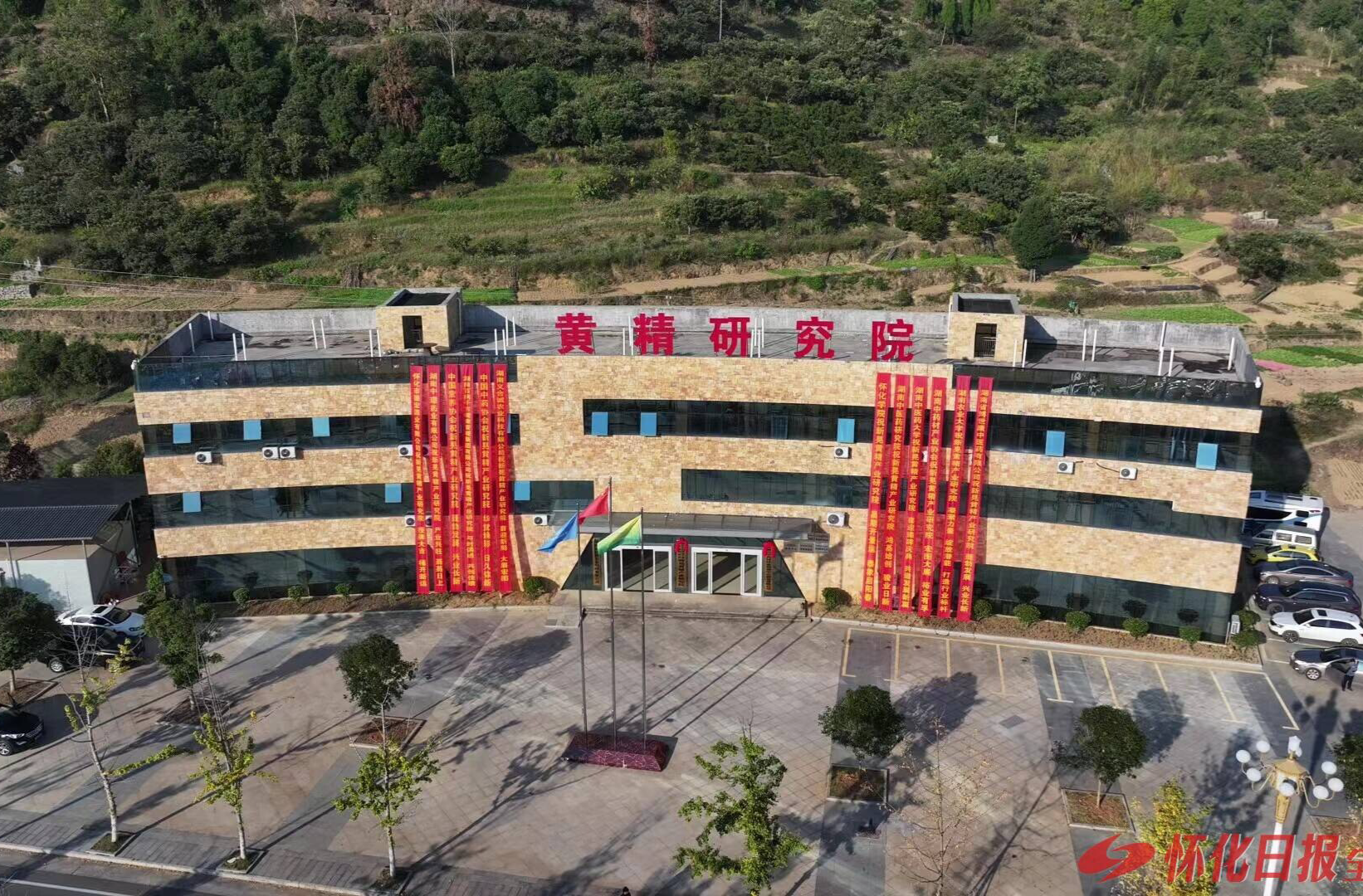侗乡黄精迎风起——新晃黄精产业高质量发展纪实