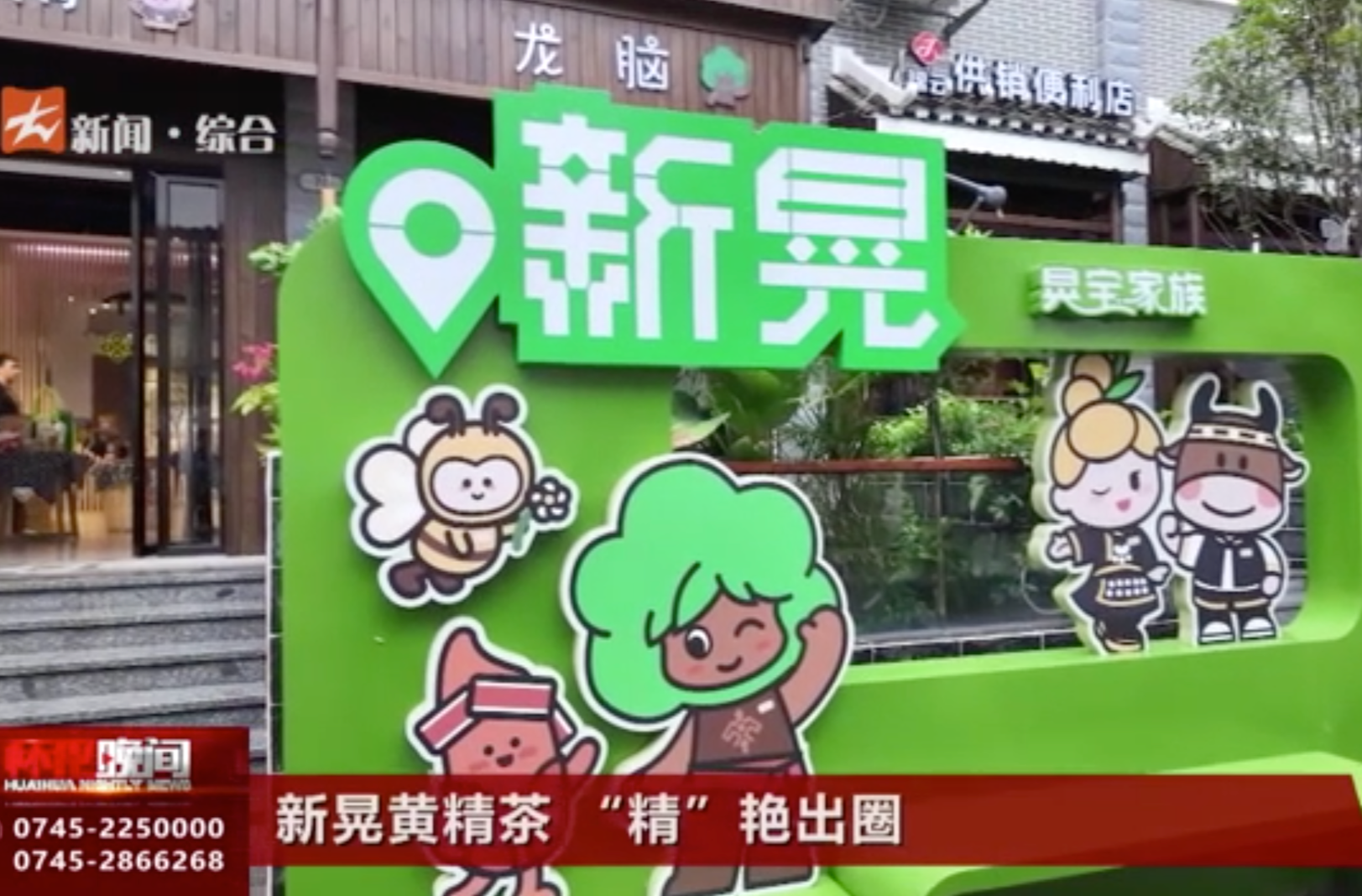 新晃黄精茶 “精”艳出圈