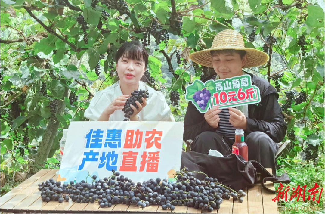 新晃：打通农产品从“田间地头”到“百姓餐桌”新通道