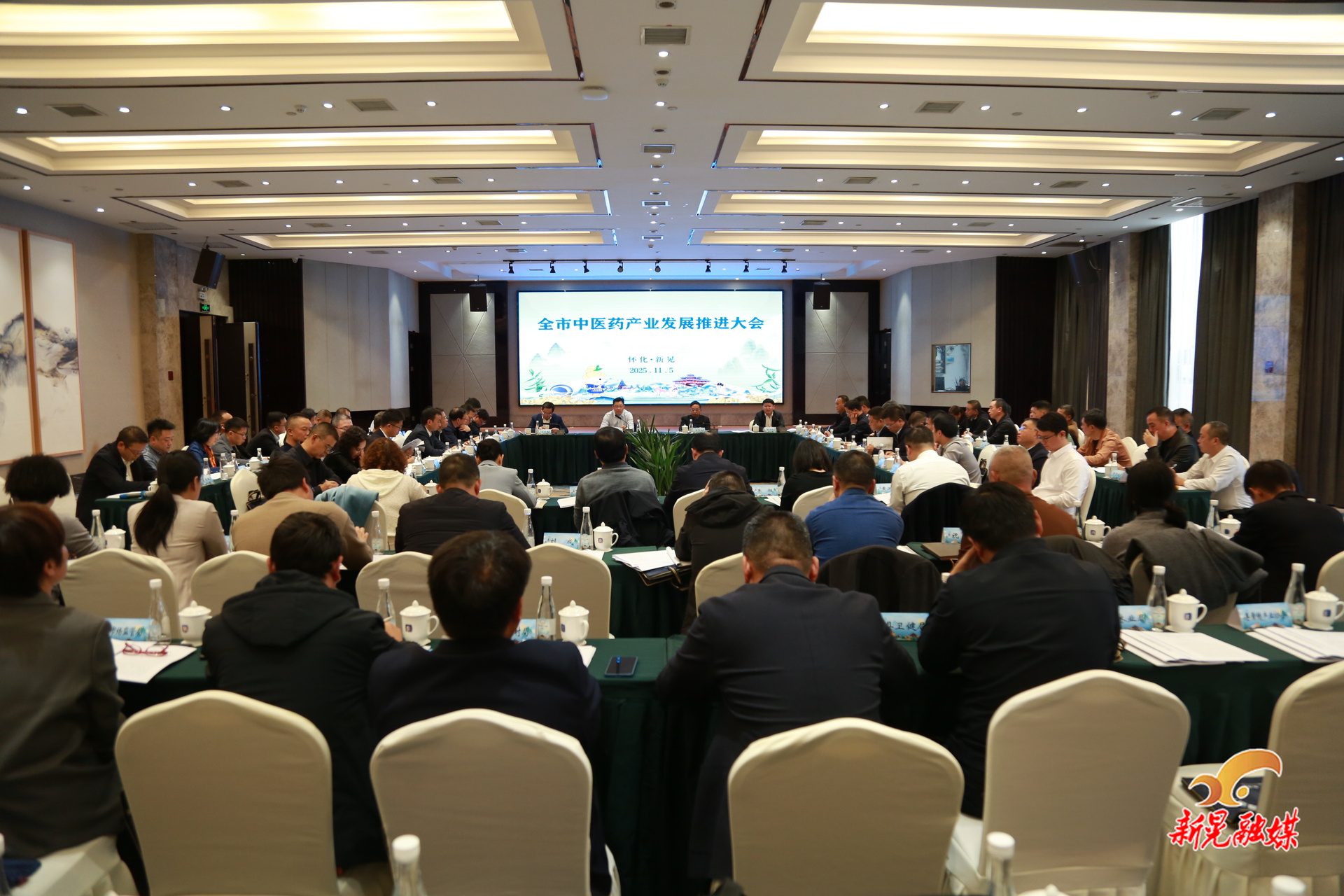 怀化市中医药产业发展推进大会在我县召开